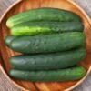 Cucumber - Marketmore 76