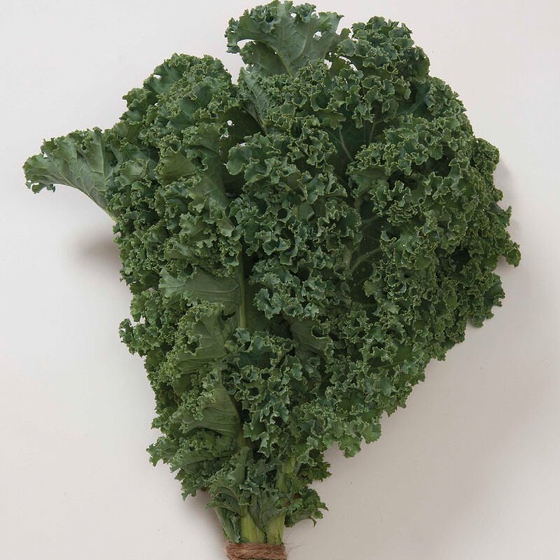 Kale - Winterbor
