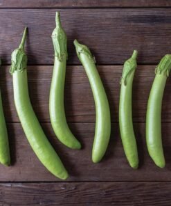 Eggplant - Summer Emerald