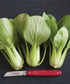 Bok Choi - Li Ren Choi
