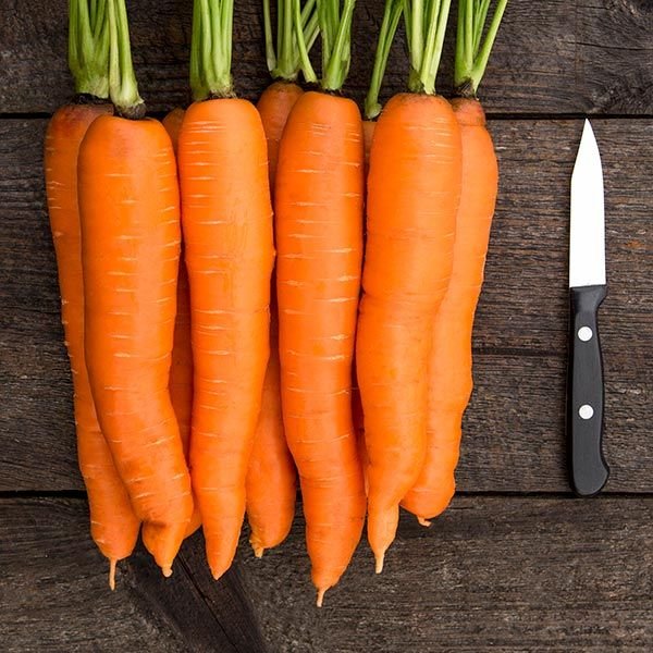 Carrot - Tendersweet