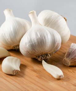 Garlic - German White